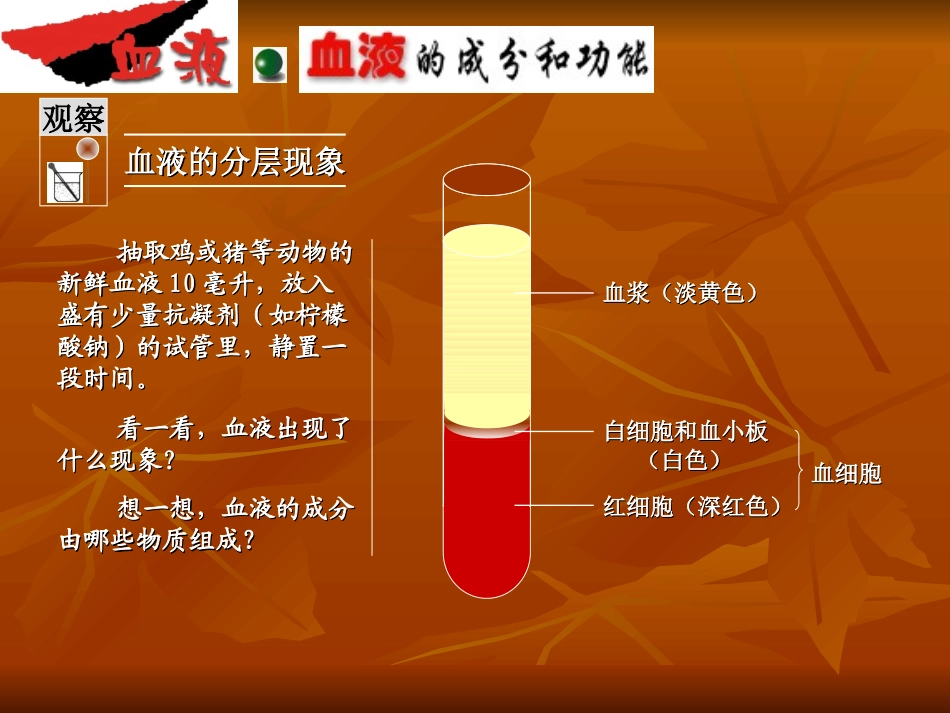 血液循环复习课件_第1页