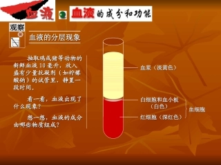 血液循环复习课件