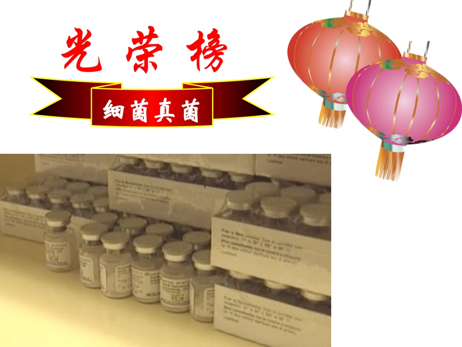 初中二年级生物上册第五单元第四章细菌和真菌第五节人类对细菌和真菌的利用第一课时课件_第3页