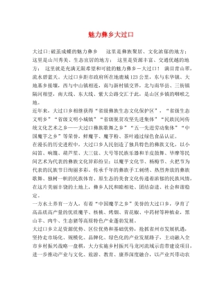魅力彝乡大过口 