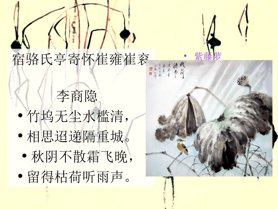 紫藤萝瀑布 (3)_第1页