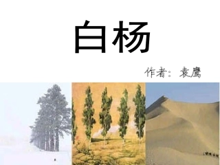 五年级下册第一单元《白杨》