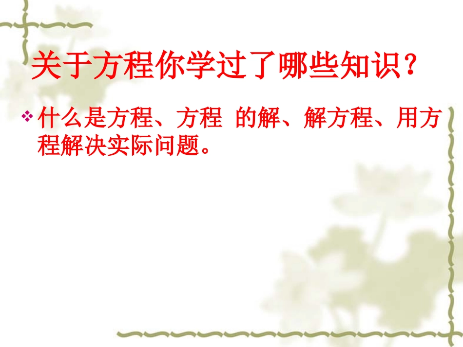 方程的整理与复习_第2页