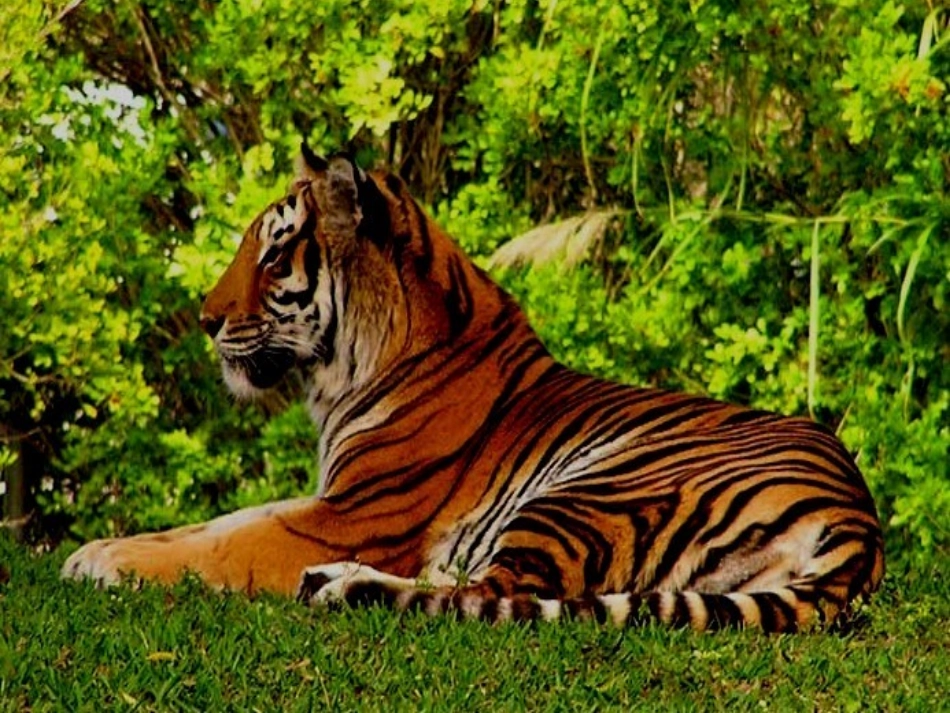 苏教版二年级下册语文识字6_第3页