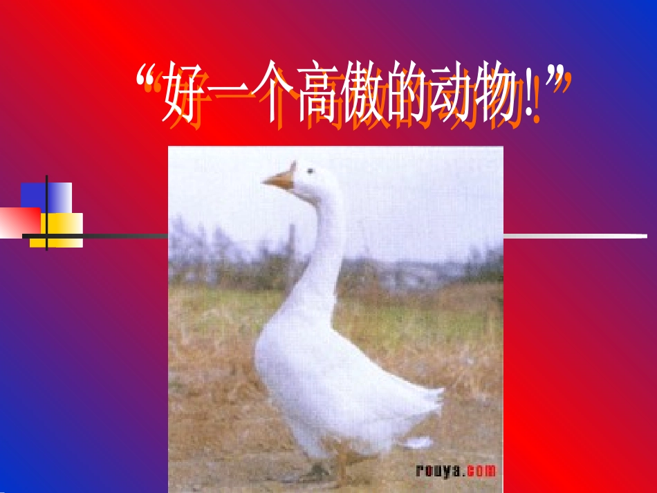 白鹅教学课件_第3页