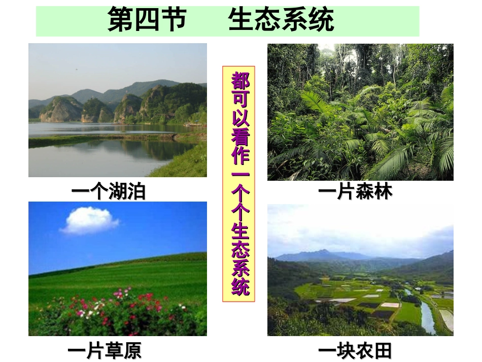 ((人教版))[[初一生物课件]]七年级生物《生态系统》PPT课件_第3页