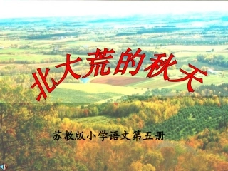 北大荒的秋天 (2)