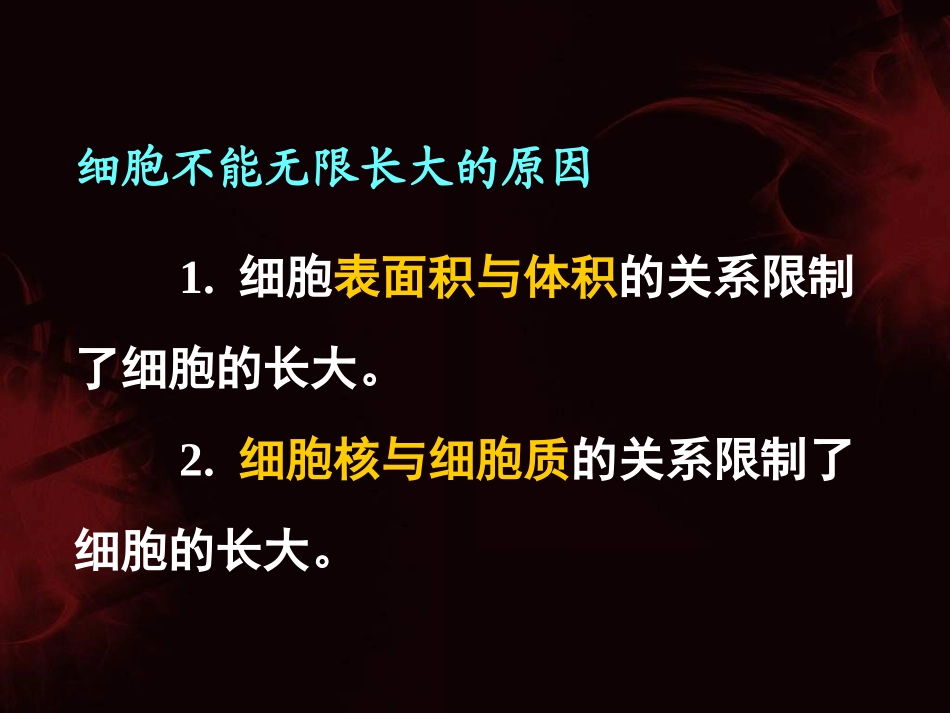 细胞有丝分裂_第2页