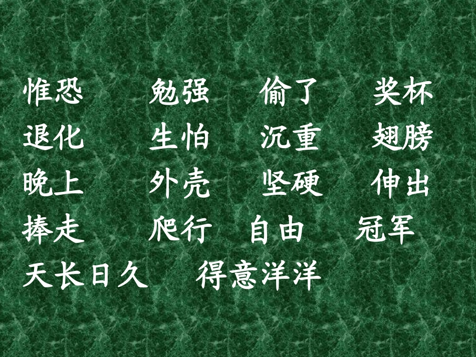 蜗牛的奖杯课件_第2页