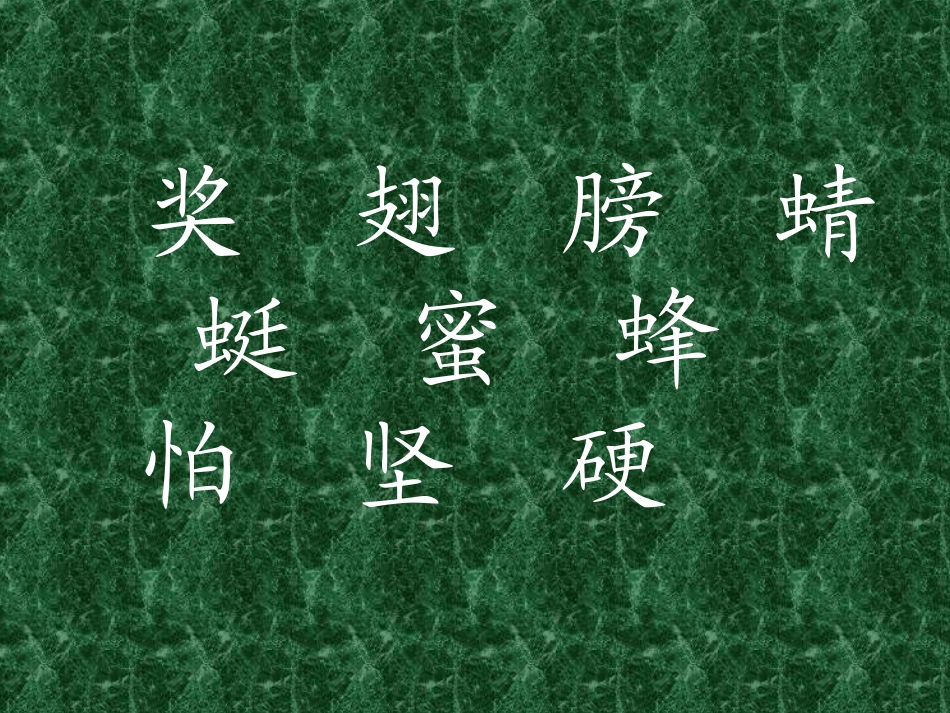 蜗牛的奖杯课件_第3页