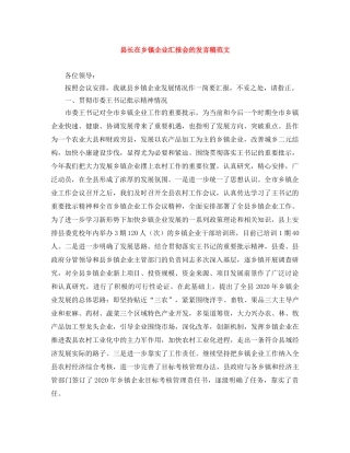 县长在乡镇企业汇报会的发言稿范文 