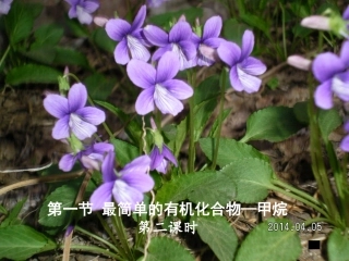 [中学联盟]河北省抚宁县第六中学高中化学（理）必修2课件：31最简单的有机化合物—甲烷（第二课时）（共30张PPT）