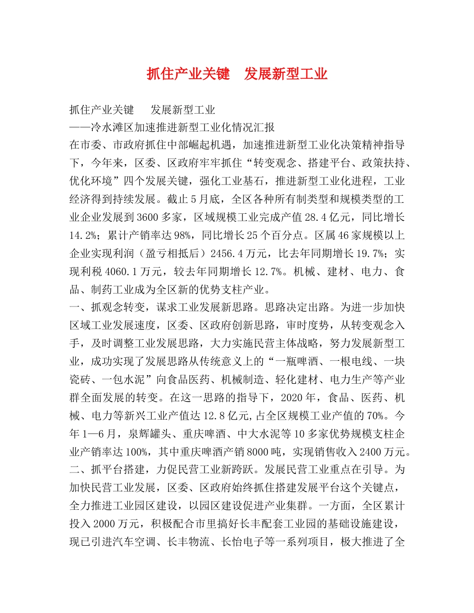 抓住产业关键  发展新型工业 _第1页