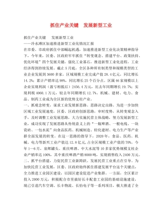抓住产业关键  发展新型工业 