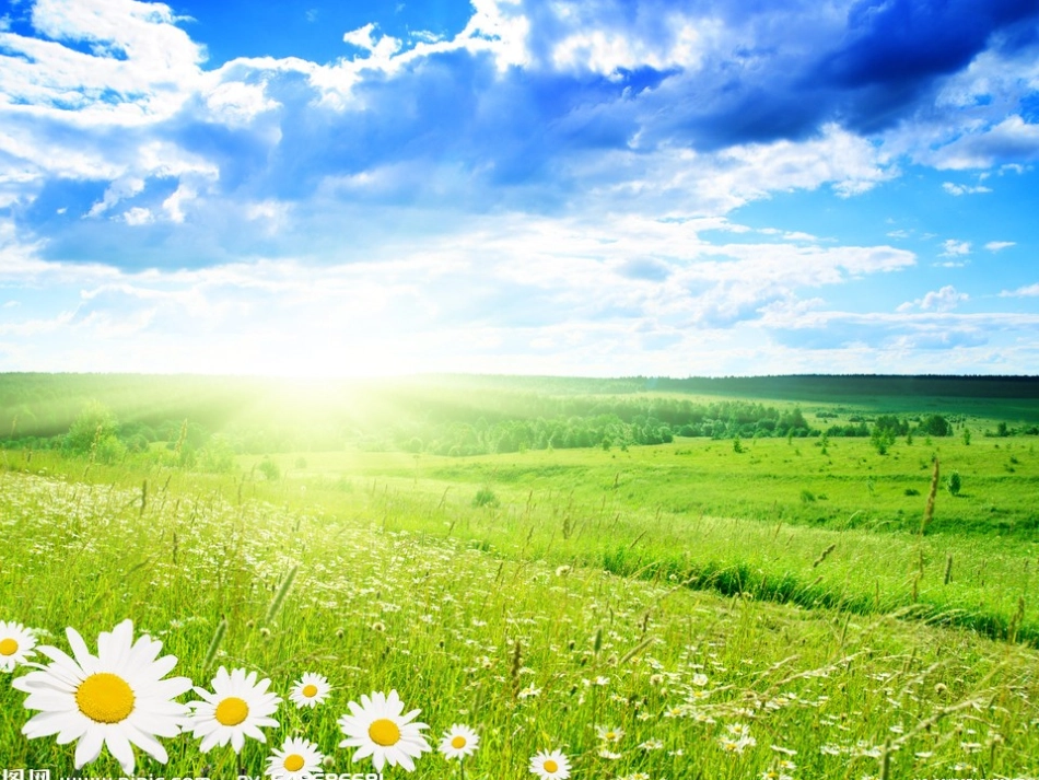 五年级下册《草原》_第2页