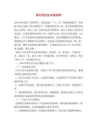 青年突击队申报材料 