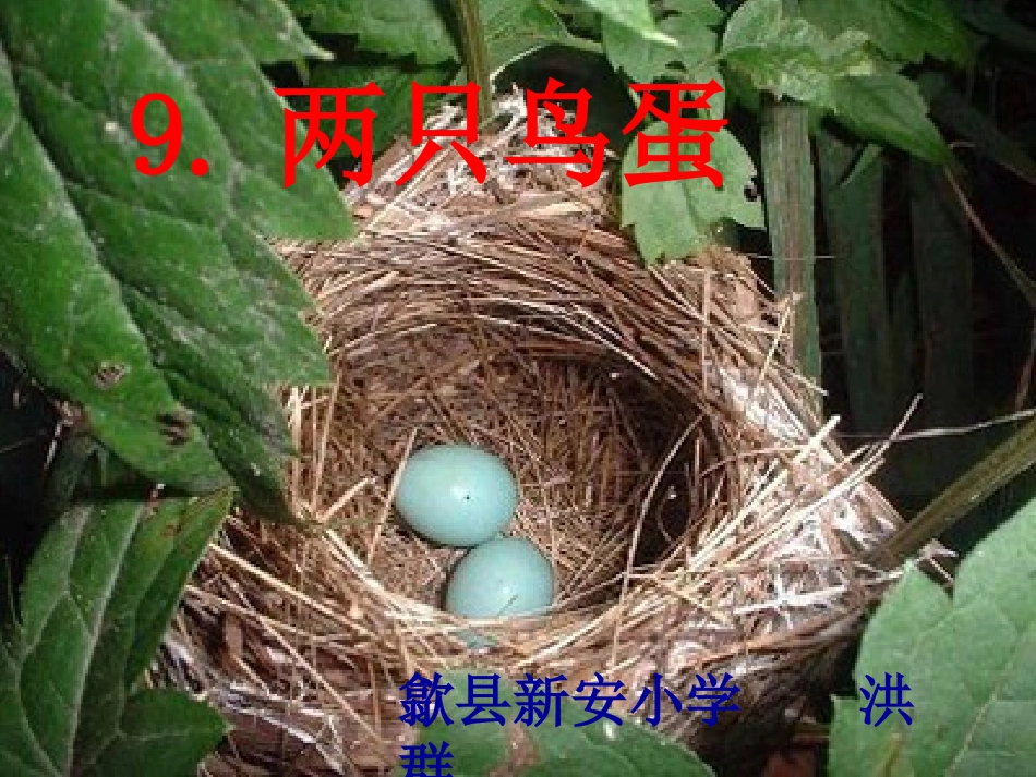 人教版一年级下册《9_两只鸟蛋》教学课件 (2)_第2页