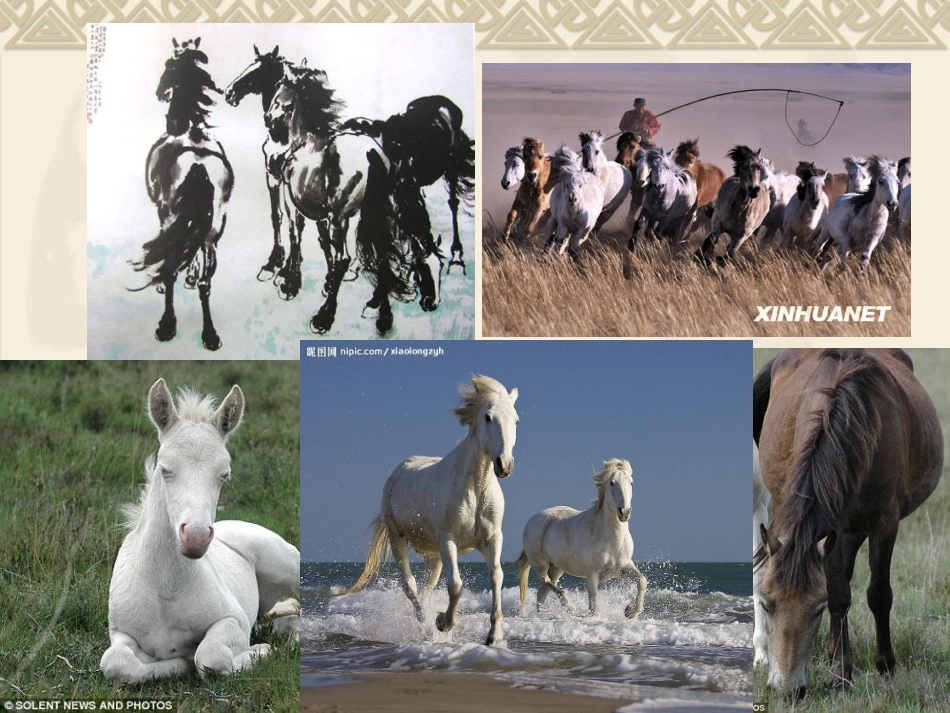 《马说》课件16_第1页