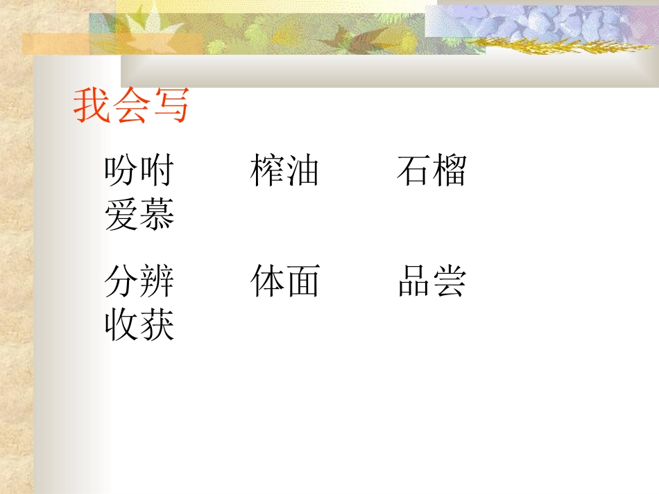 小学五年级《落花生》课件_第2页