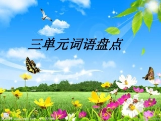 三单元词语盘点