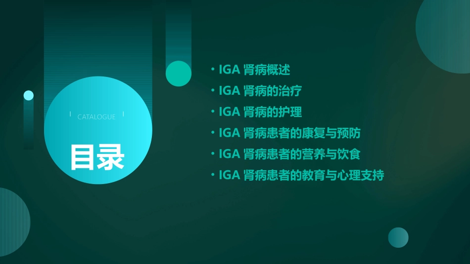 IgA肾病护理课件_第2页