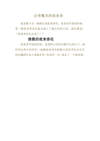 会变魔术的夜来香
