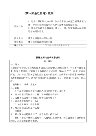 《离太阳最近的树》教案