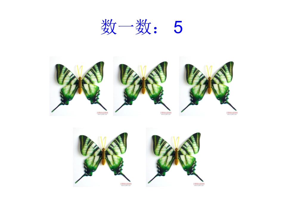 的分解组成课件_第2页