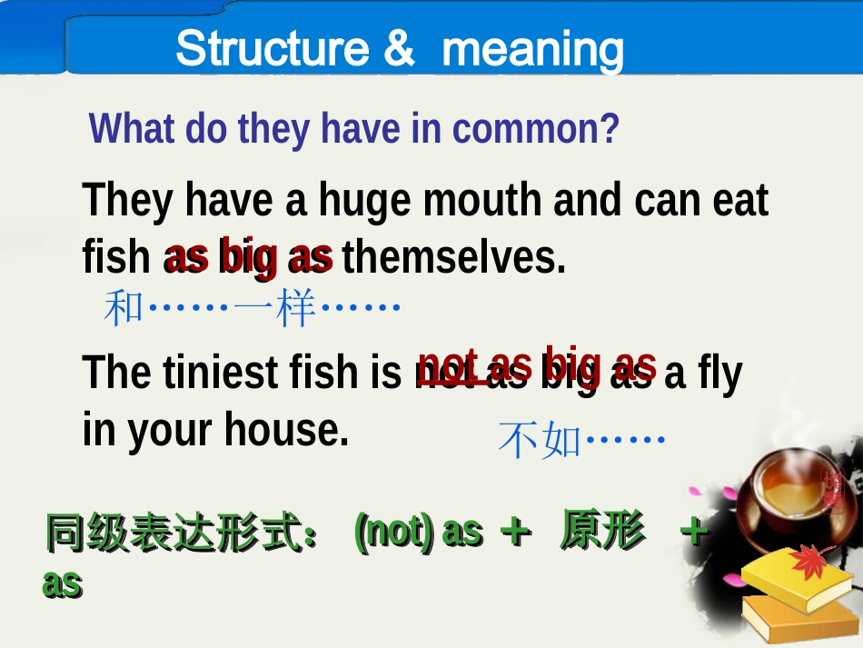 高一英语-Unit7-lesson3-The-Sea-world-grammar课件-北师大版必修3_第3页