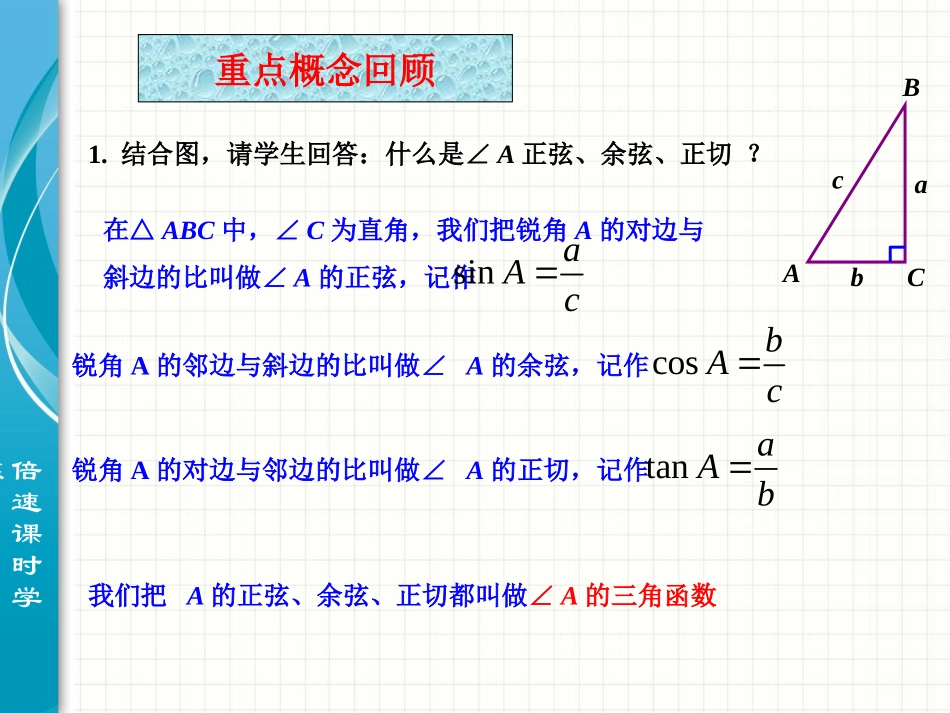 锐角三角函数复习巩固_第2页