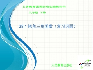 锐角三角函数复习巩固