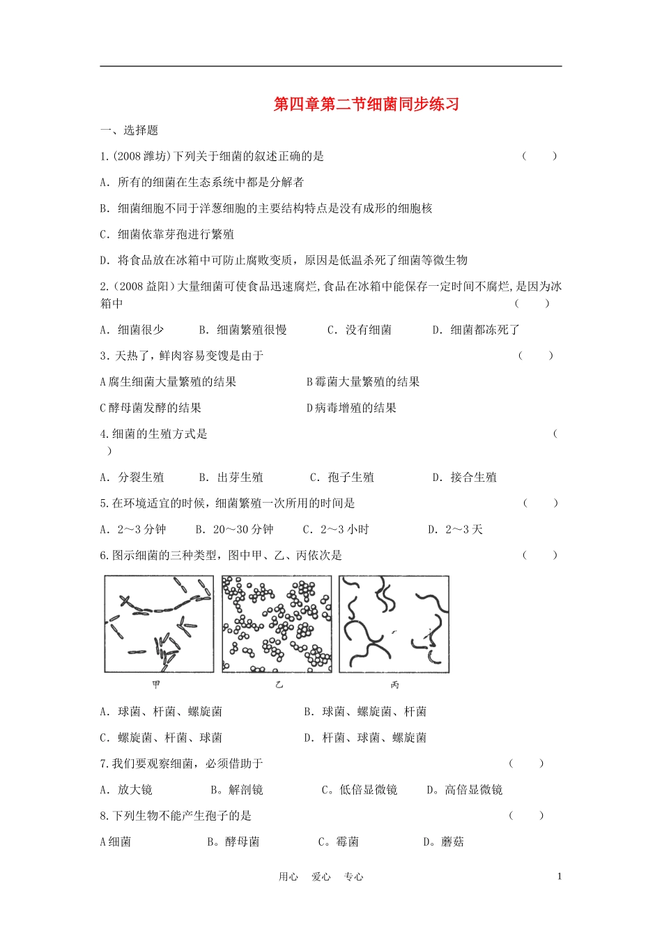 八年级生物上册《细菌》同步练习-人教新课标版_第1页