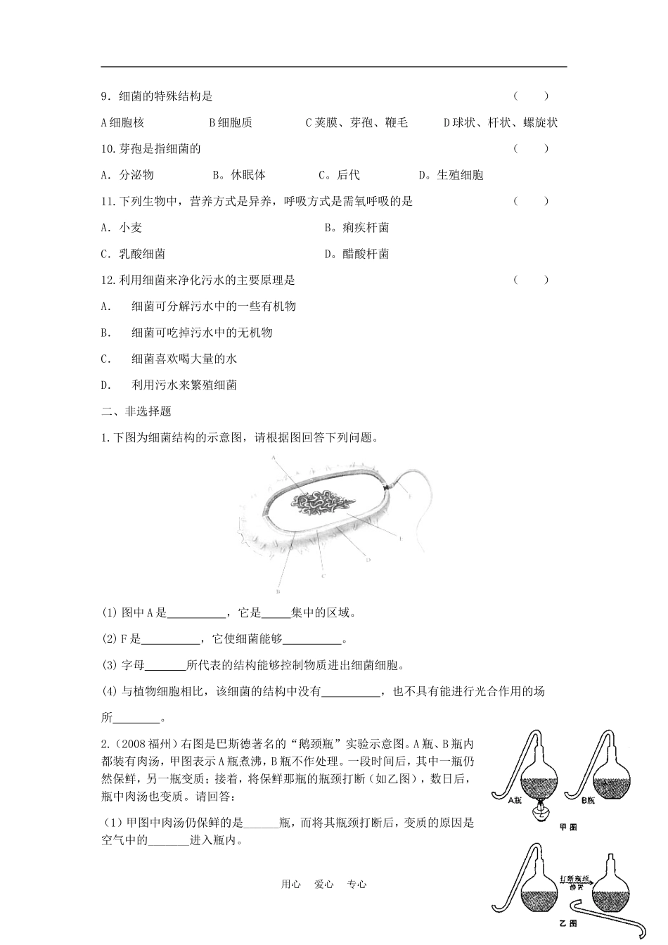 八年级生物上册《细菌》同步练习-人教新课标版_第2页