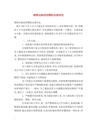 销售出纳试用期的自我评定 
