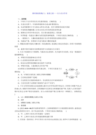 练习光与光合作用