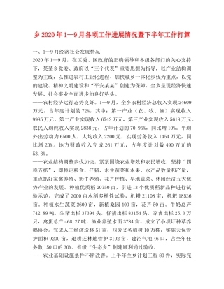 乡2024年1—9月各项工作进展情况暨下半年工作打算 