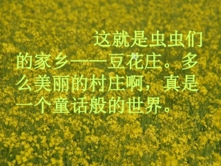 豆花庄的小家伙们