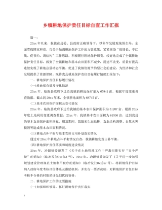 乡镇耕地保护责任目标自查工作汇报