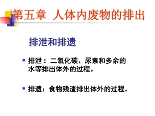 人体内废物的排出