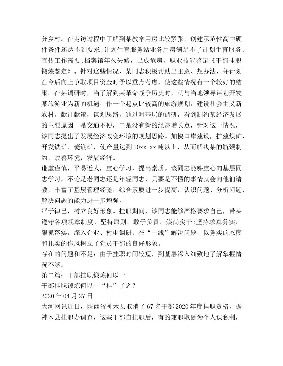 干部挂职锻炼 _第2页
