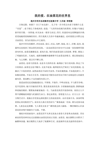 我的爱，在油菜花的世界里