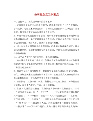 公司党总支工作要点 