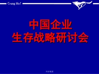 生存还是死亡？——中国企业生存战略研讨会精品讲义