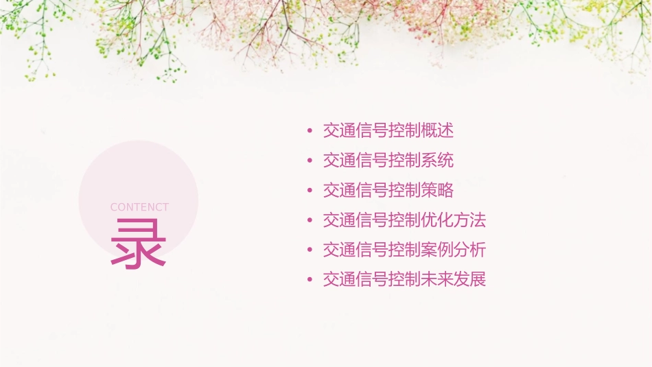 交通信号控制教学课件1_第2页