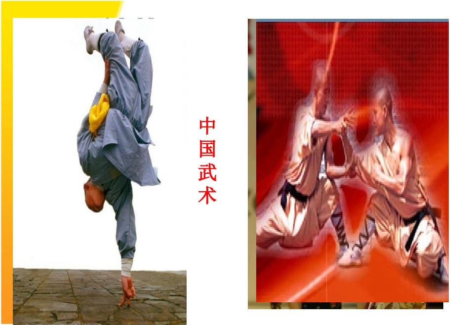 《灿烂的中华文化》PPT课件_第3页