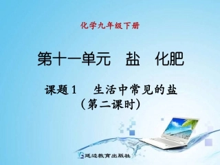 课题1生活中常见的盐（第二课时）2