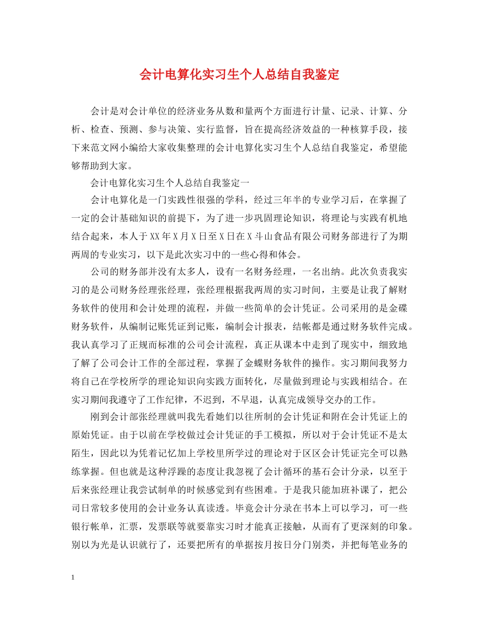 会计电算化实习生个人总结自我鉴定 _第1页