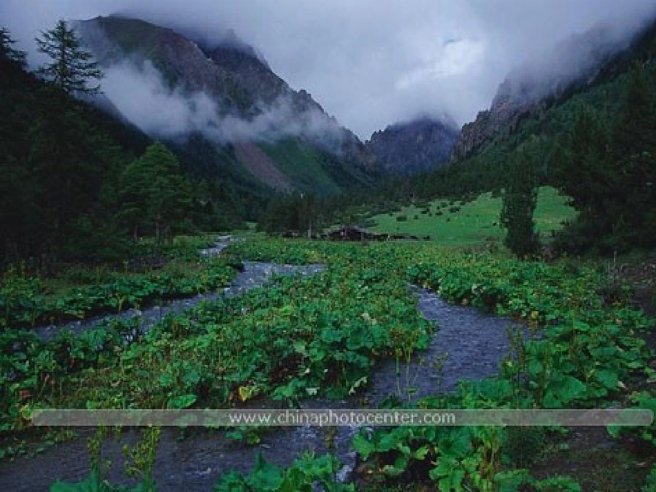 保护生物的多样性_第2页