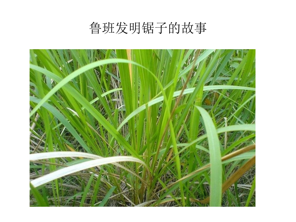 做一名优秀的设计师_第3页