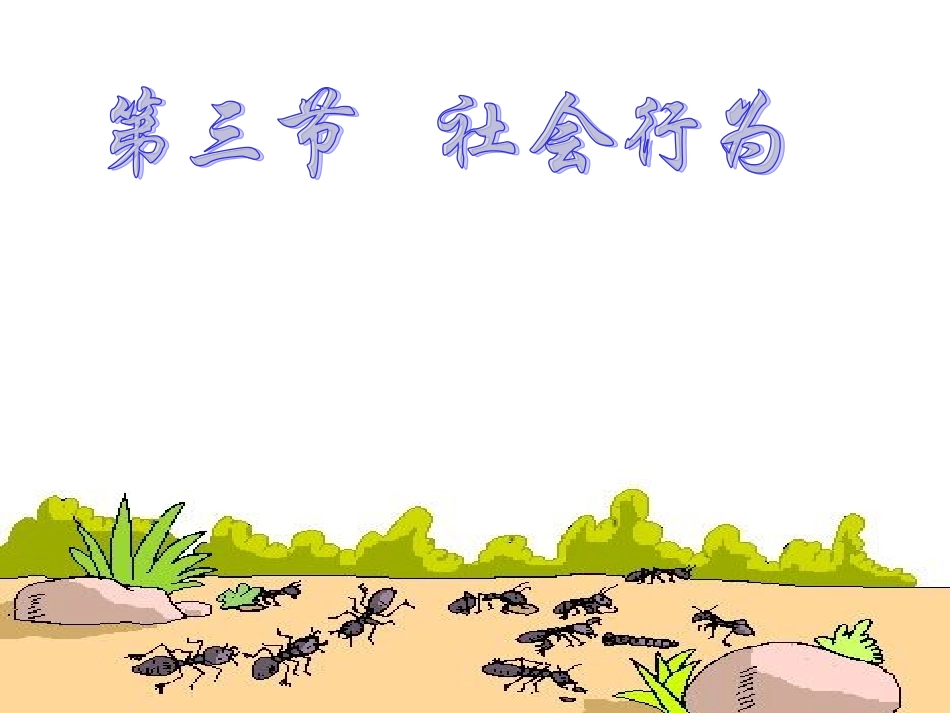 2.3社会行为27ppt_第1页